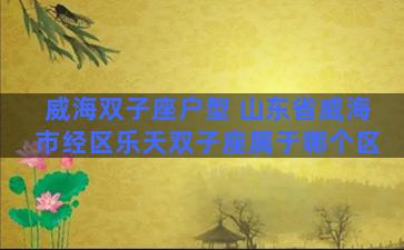 威海双子座户型 山东省威海市经区乐天双子座属于哪个区